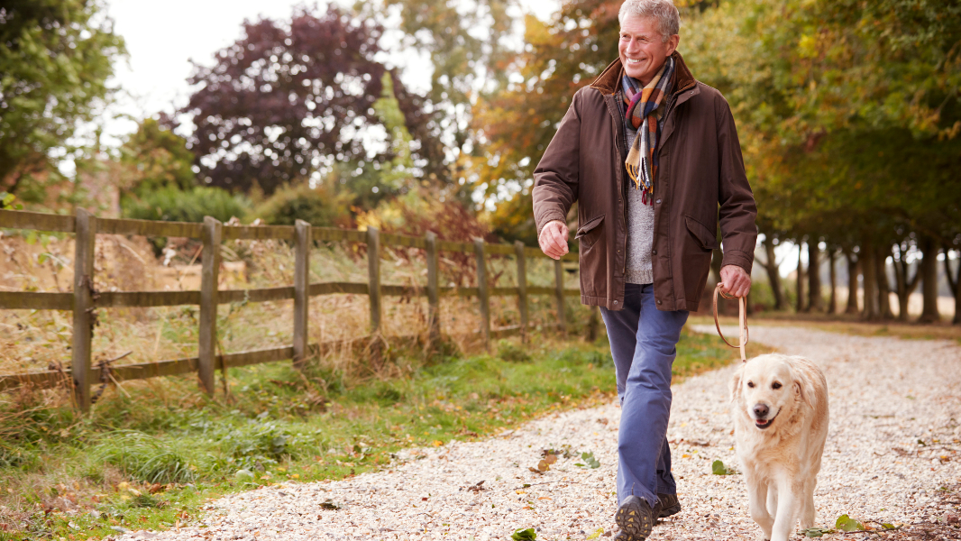 Mann mit Hund spaziert fit und gesund